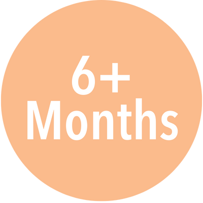 6+ months