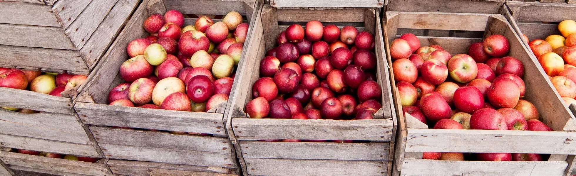 raffertys-garden-our-journey Apple in crates